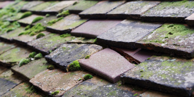 Thornbury roof repair costs